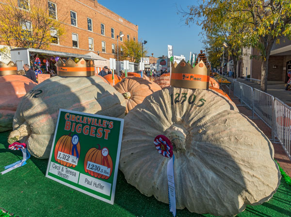 circleville-pumpkin-festival-winning-pumpkins-2