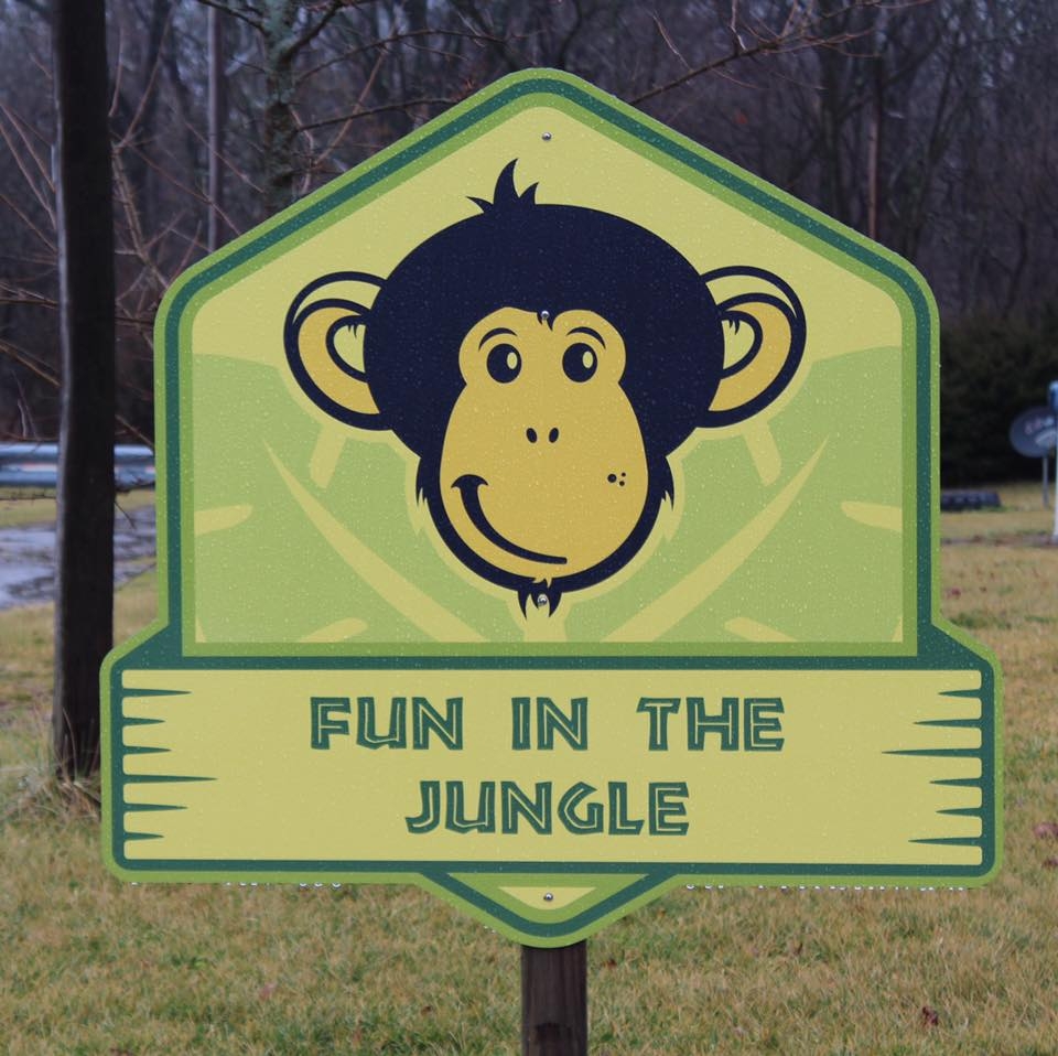 Fun in the Jungle