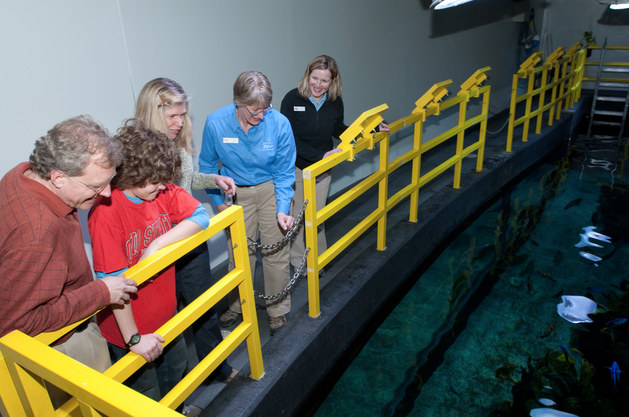 Behind the Scenes at Columbus Zoo