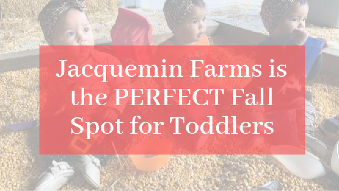 Jacquemin Farms is the PERFECT Fall Spot for Toddlers