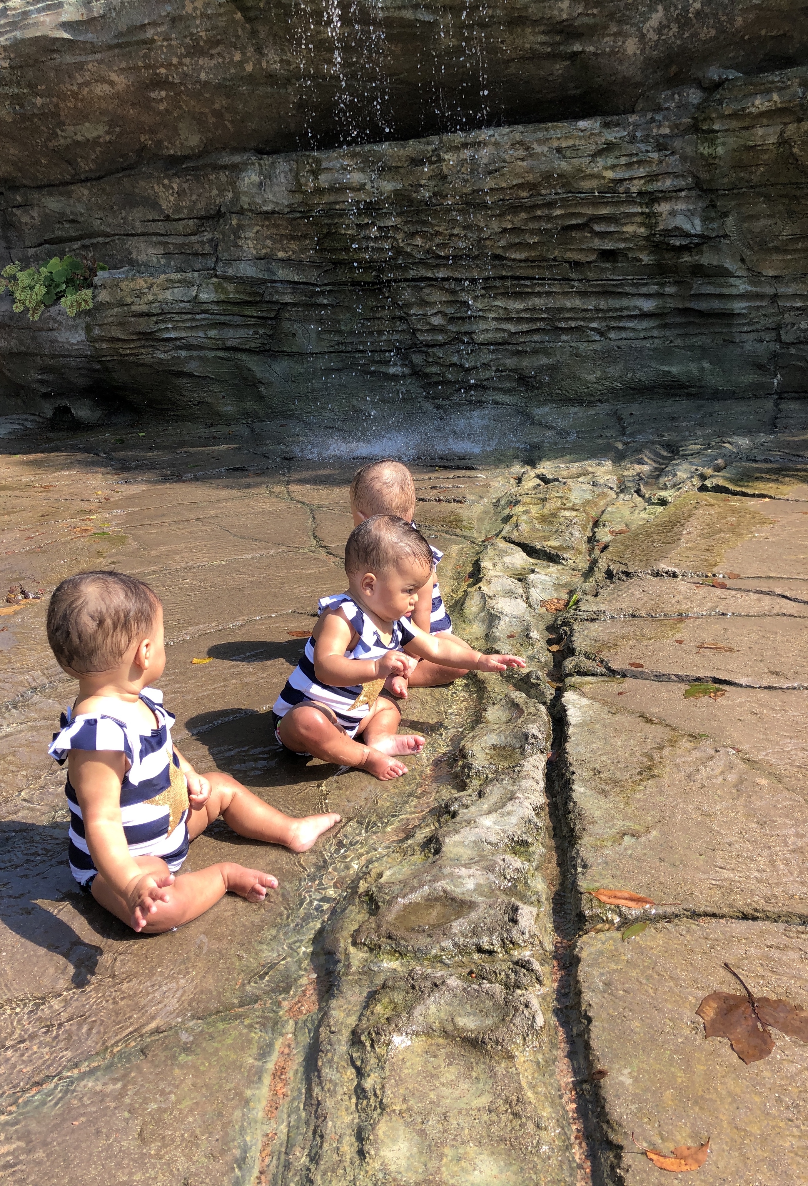 Did you know you can get in FREE to Franklin Park Conservatory (and three other spots) with your Library Card?