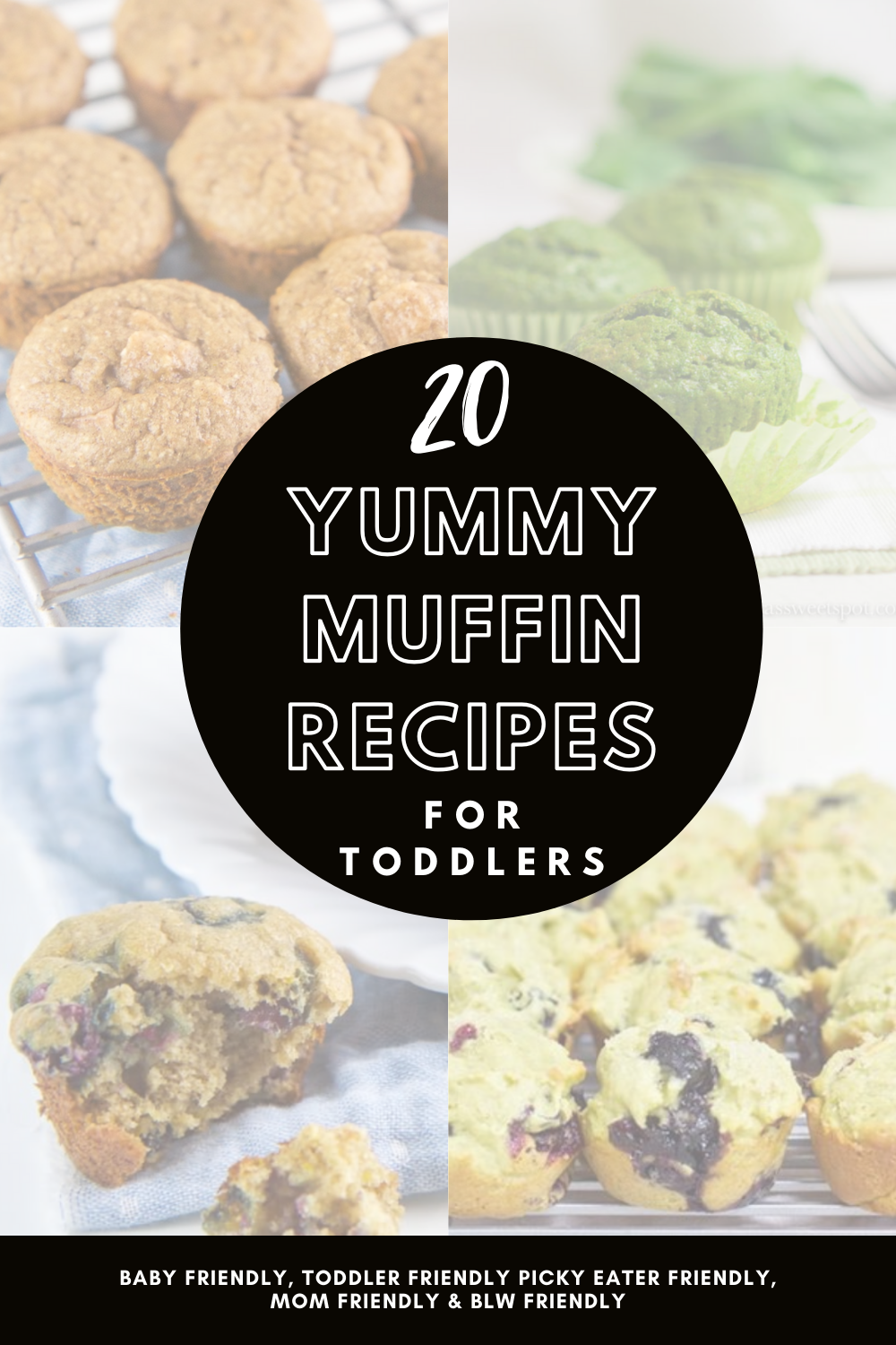 20 Yummy Muffin Recipes for Toddlers