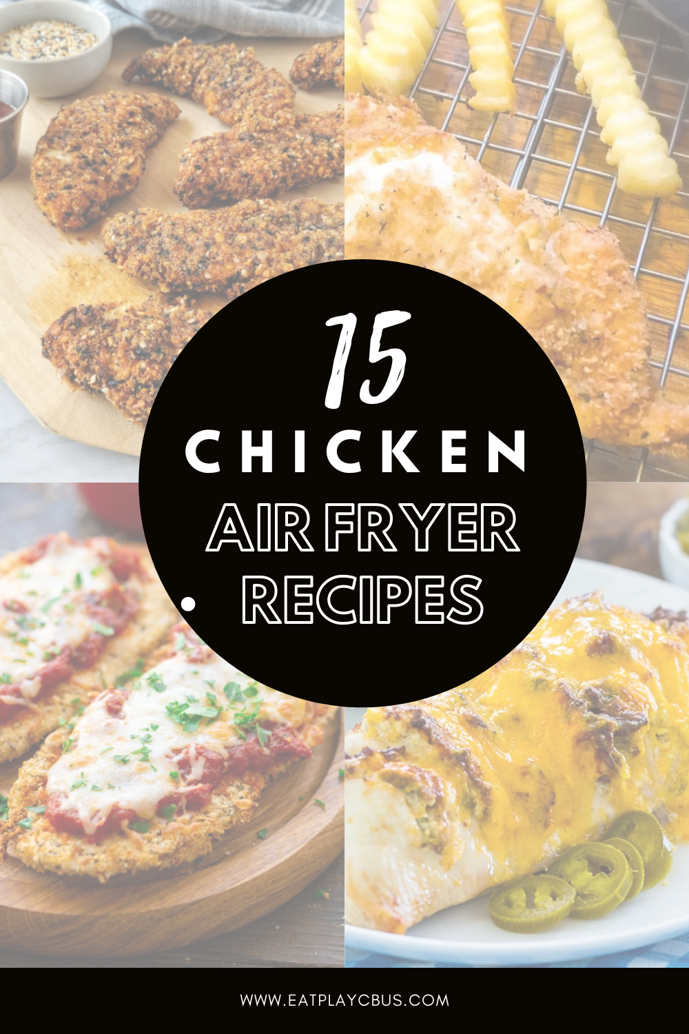 15 Delicious Air Fryer Chicken Recipes