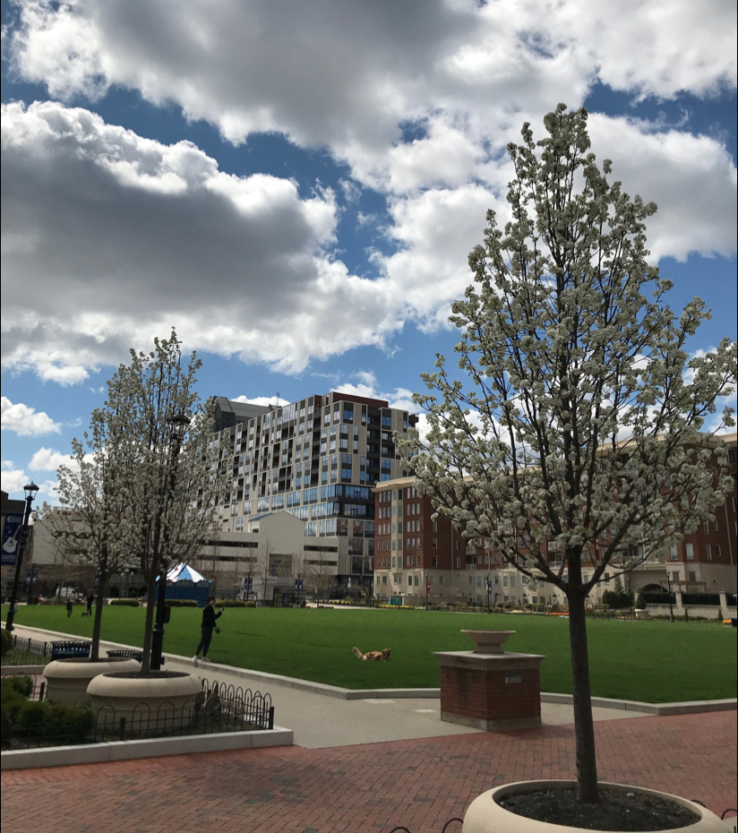 Summer at Columbus Commons is Not (completely) Cancelled This Year