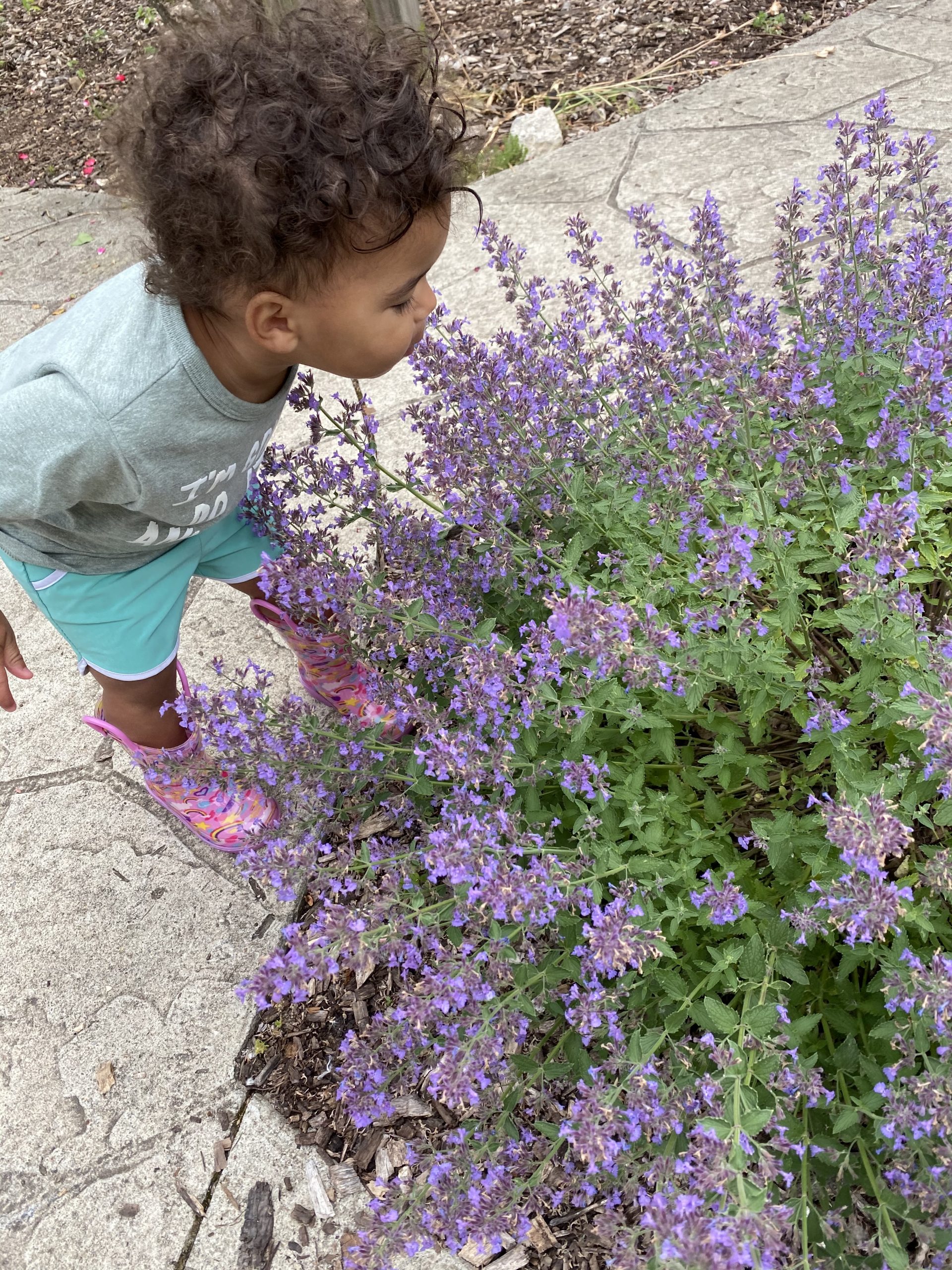 The Perfect Morning: Local Coffee & Snacks, 12,000 Roses and a Toddler Friendly Playground