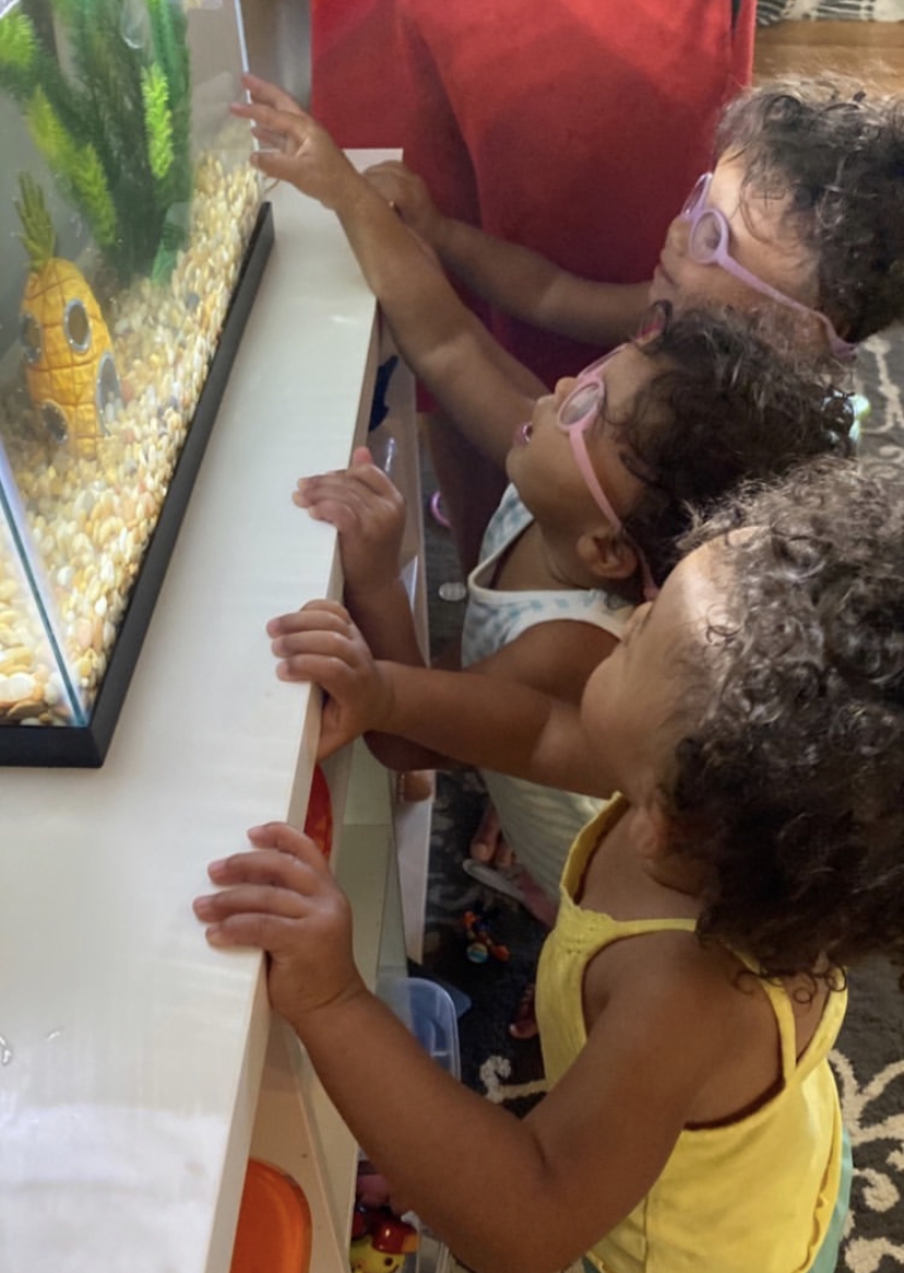 6 Products to Create the Best Fish Tank for your Kids