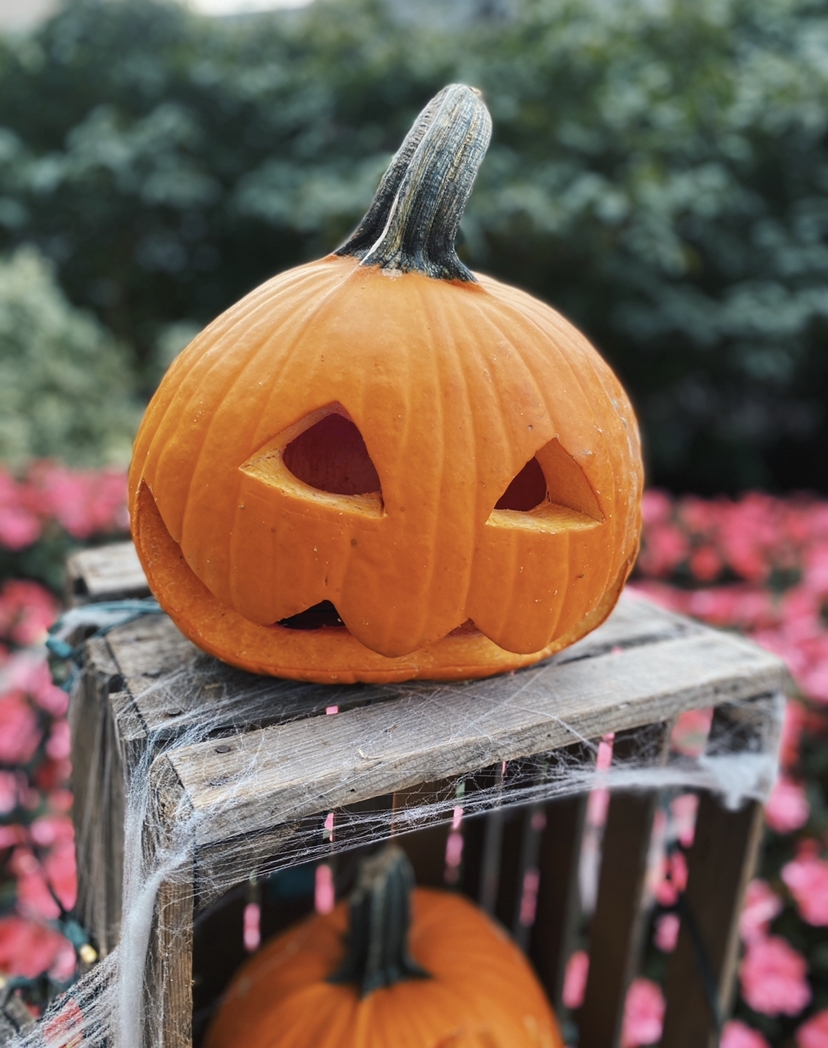 Hooray for Halloween Fun in Central Ohio (10/26 – 10/31)