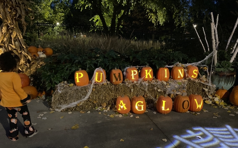 Pumpkins Aglow is back at Franklin Park Conservatory