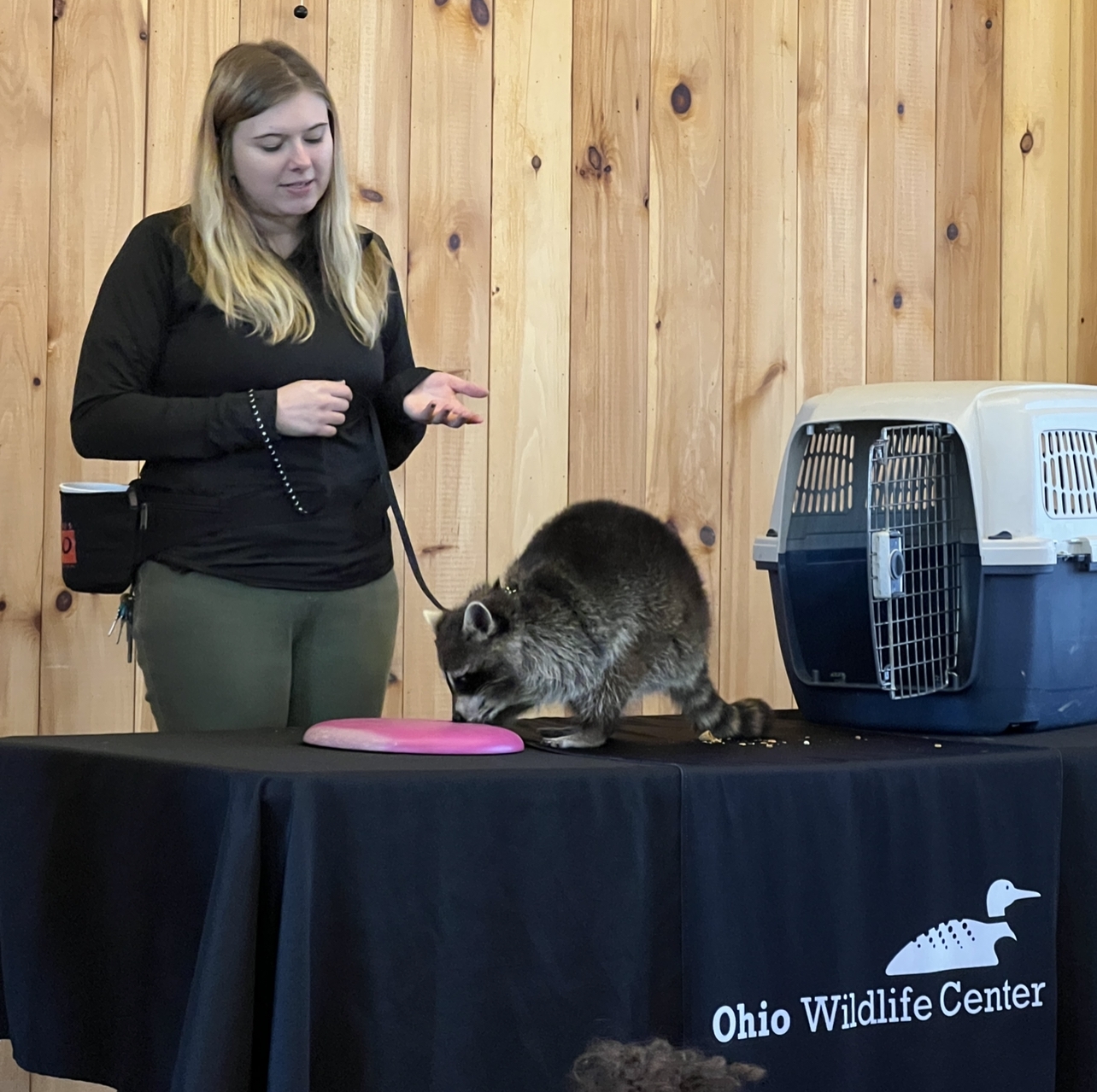 Wild Story Time with Ohio Wildlife Center