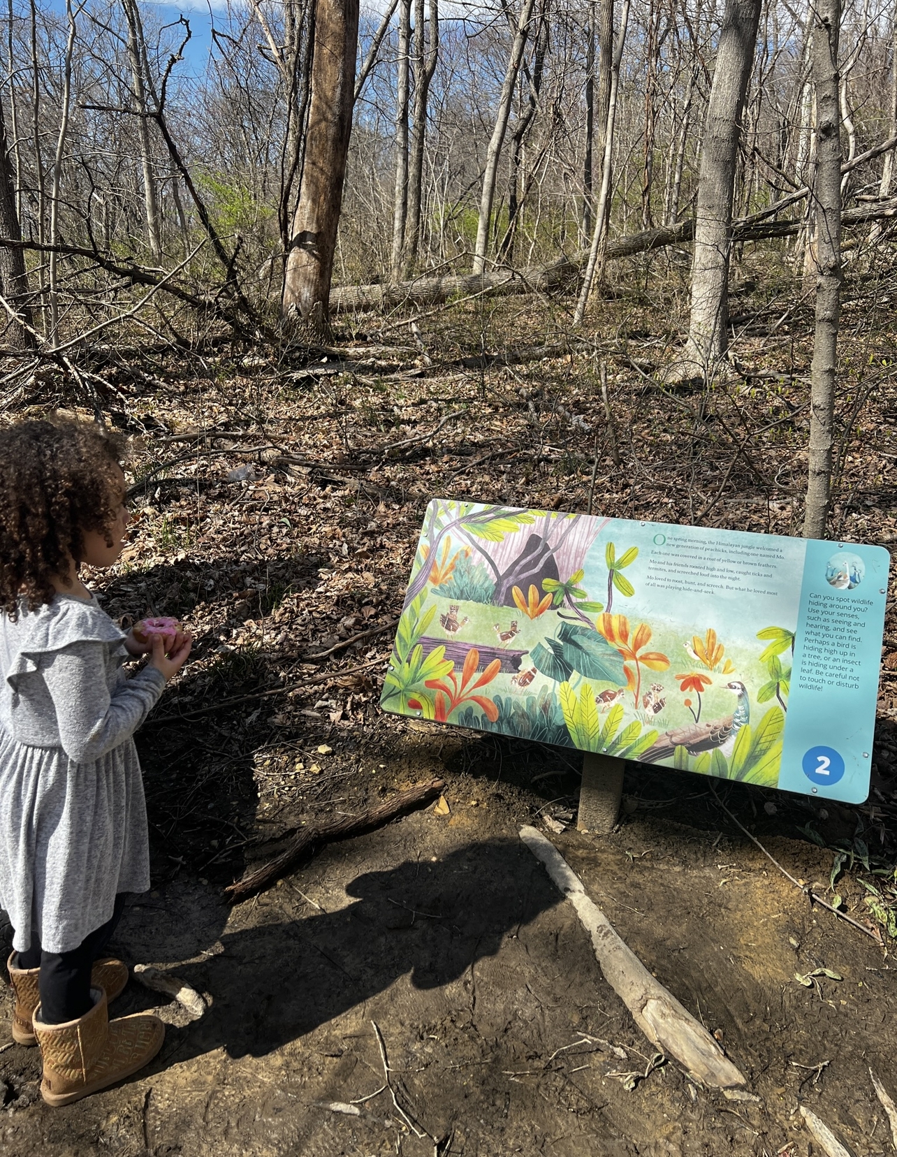 Discovering Ohio’s Natural Beauty: A Family Adventure at Great Seal State Park