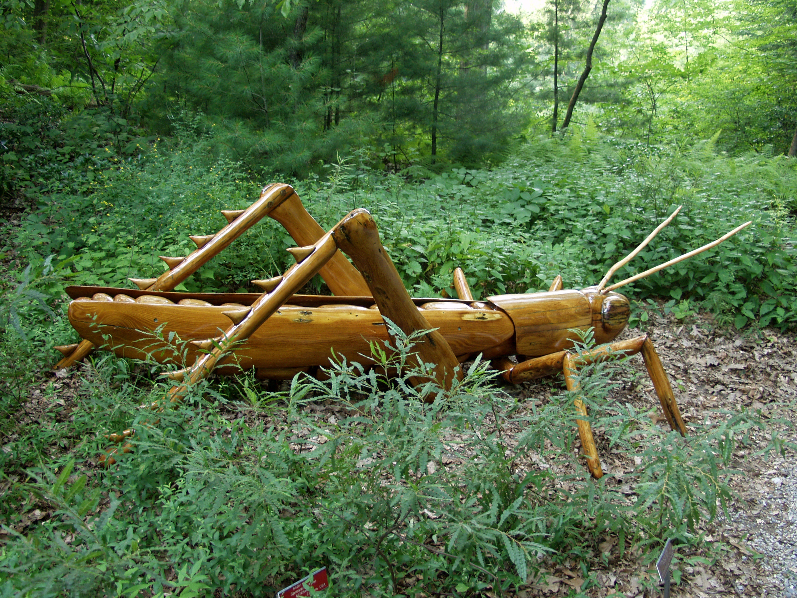 Get Ready to Explore The Dawes Arboretum and David Rogers’ “Big Bugs” Exhibit!