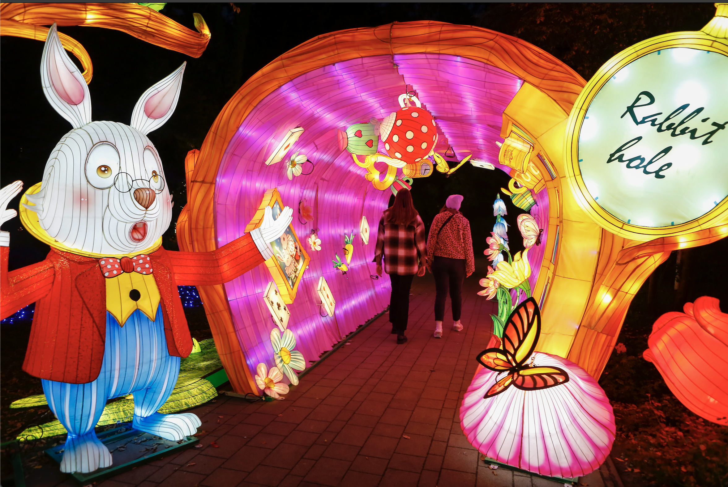 Discover the Magic of Wonderland at Garden of Lights in Frazeysburg, Ohio