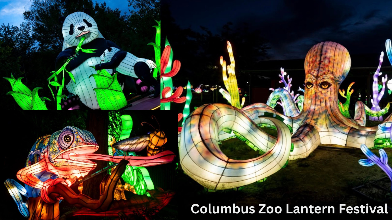 September 2026 Festivals in Columbus & Central Ohio: Full Guide