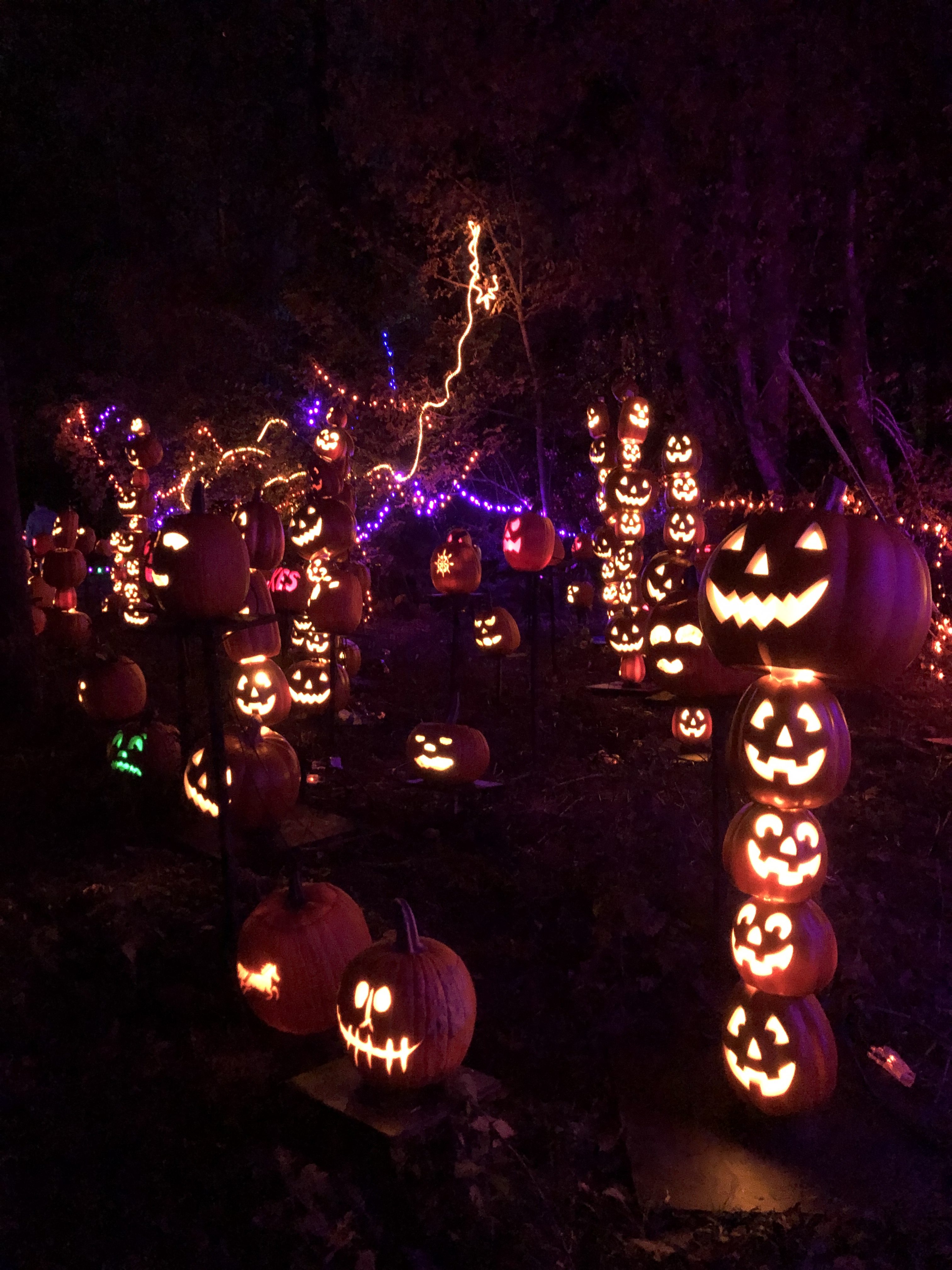 The Great Westerville Pumpkin Glow Eat Play CBUS