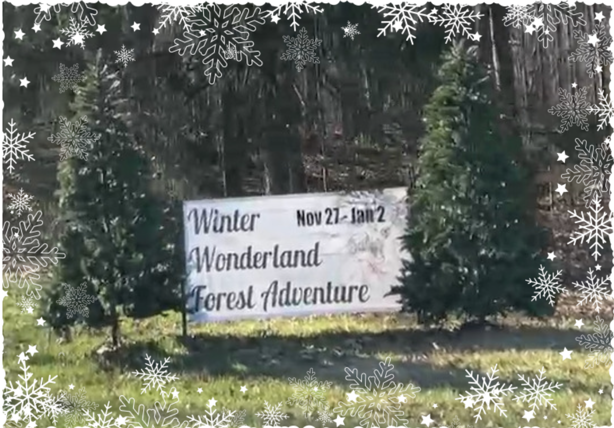 Winter Wonderland at Blendon Woods
