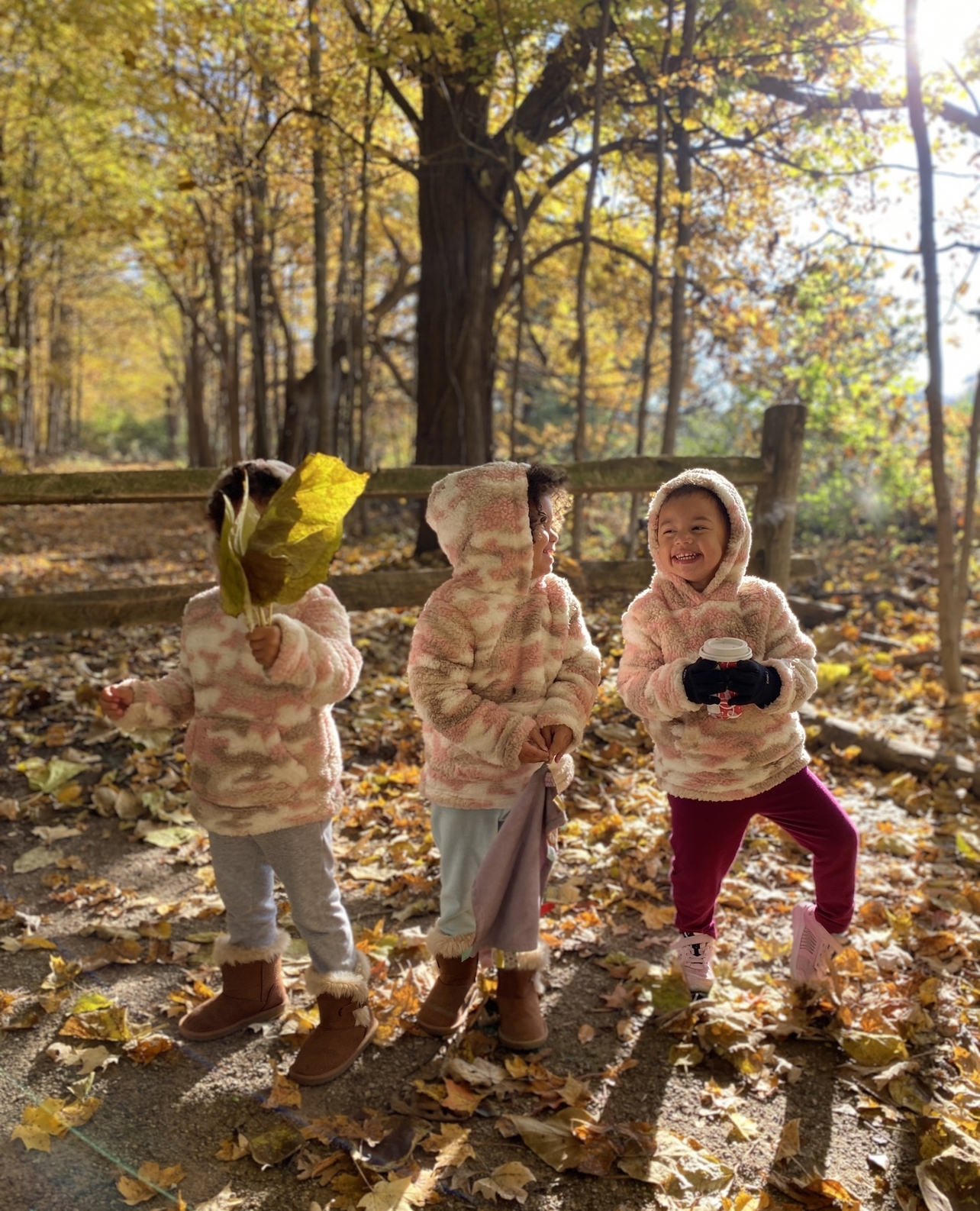 Spend November Exploring our Metro Parks with your Preschooler