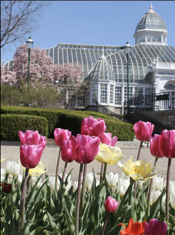 10 Places to Make New Memories this Spring in Central Ohio